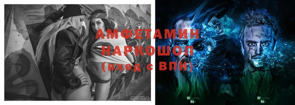 PSILOCYBIN Дмитриев