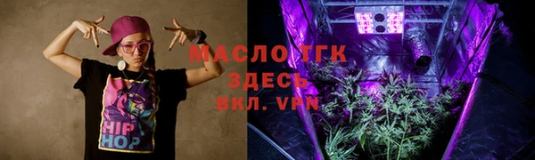 mix Ельня
