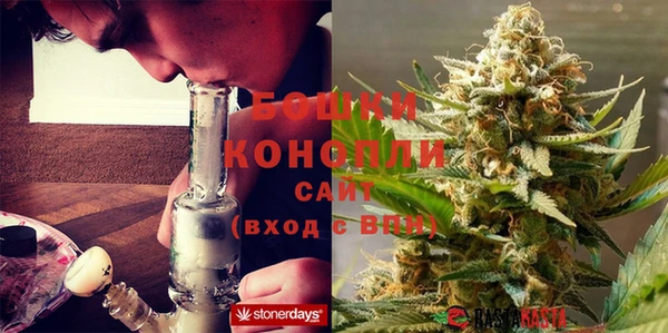PSILOCYBIN Дмитриев