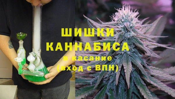 сатива Елизово