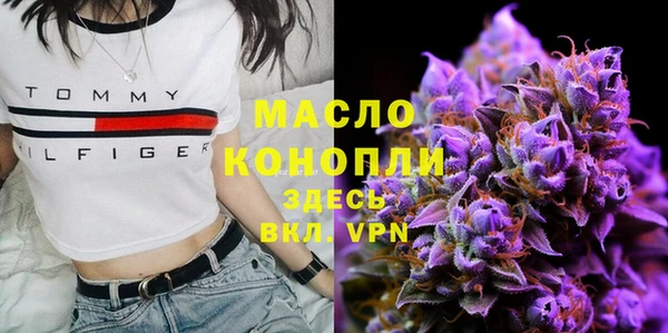mix Ельня