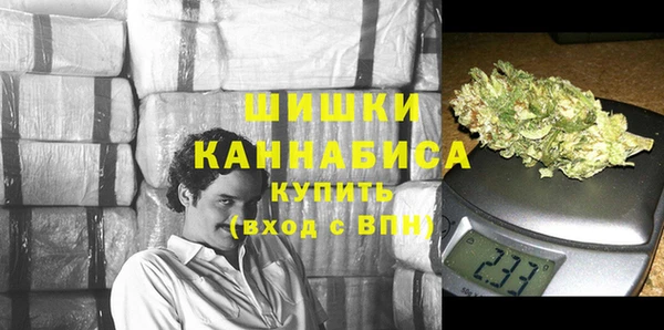 mix Ельня