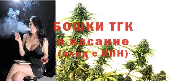 mix Ельня